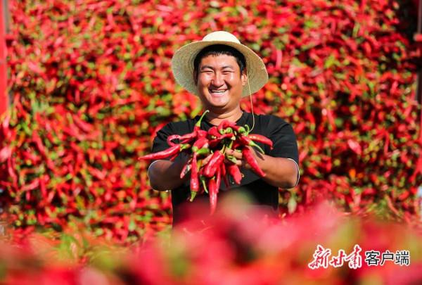 看！2500萬人的豐收圖景