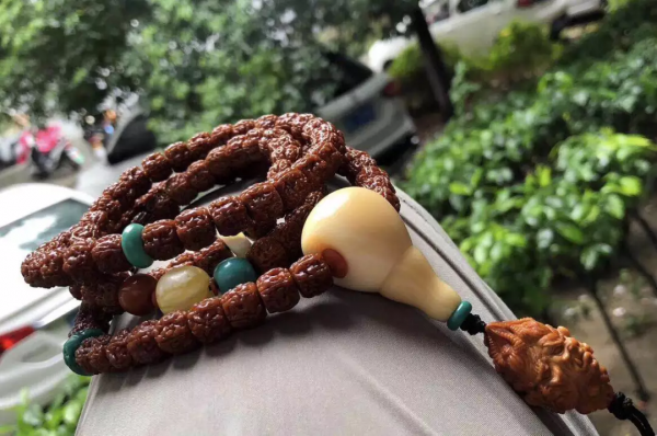 小金剛菩提的一代龍何在? 小金剛菩提的一代龍何在?