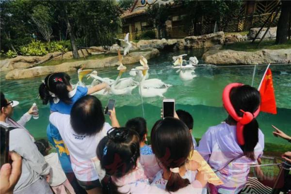 國慶期間,這裡成為歡樂的海洋 國慶期間,這裡成為歡樂的海洋