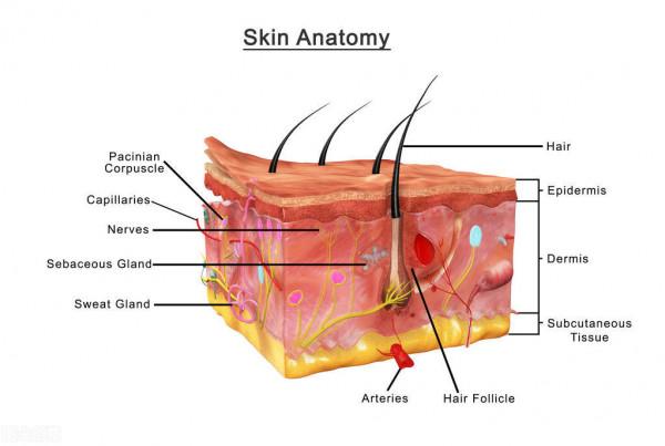 小雪來臨氣溫驟降，糖尿病用錯電熱毯有風險！取暖應該這樣做