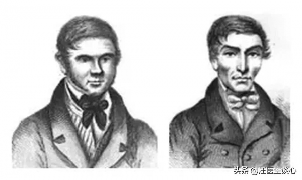 皮囊之內——人體解剖學的前世今生