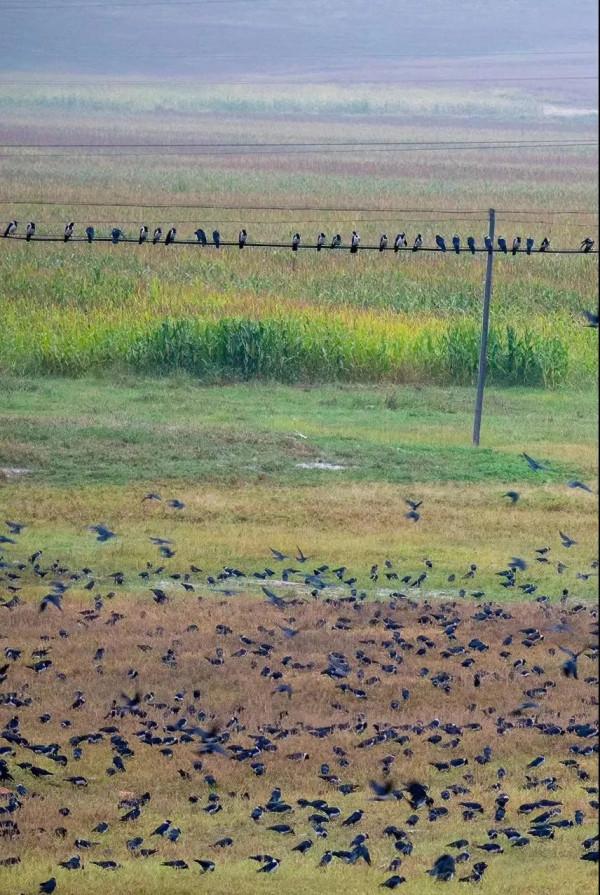層林盡染的黃崗梁,許你一個秋天的童話 層林盡染的黃崗梁,許你一個秋天的童話