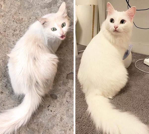 45張有趣的對比圖片展示事物的兩面性