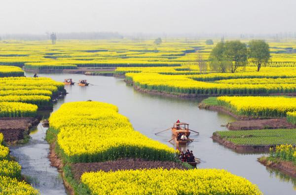 於深冬嚴寒處，感知春的到來&mdash;&mdash;臘八節隨想