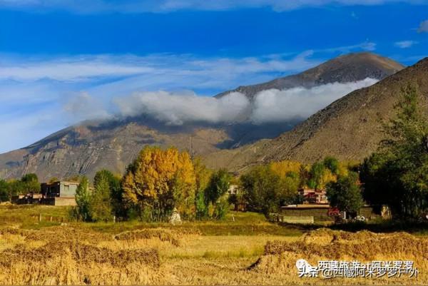 秋意濃,易遠行 秋意濃,易遠行