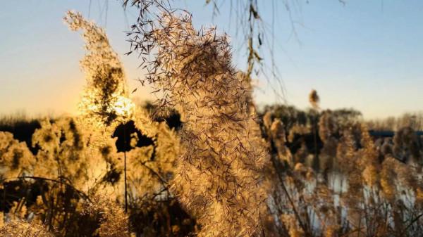你為什麼處不好人際關係 你為什麼處不好人際關係