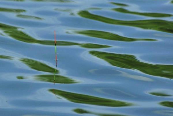 冬釣調漂兩個壞習慣，讓你的漁獲不知不覺少三成