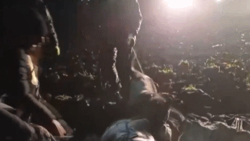 面對立陶宛，神友已經開團了