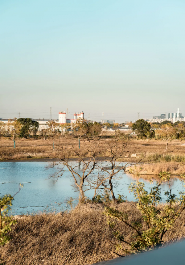 全球首家!悅榕集團又一神作,隱於千年古村,驚豔江浙滬度假圈 全球首家!悅榕集團又一神作,隱於千年古村,驚豔江浙滬度假圈