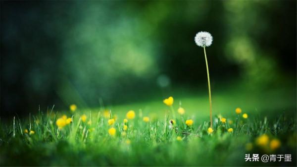 內心浮躁的你,不妨品一品季羨林的這10句話 內心浮躁的你,不妨品一品季羨林的這10句話