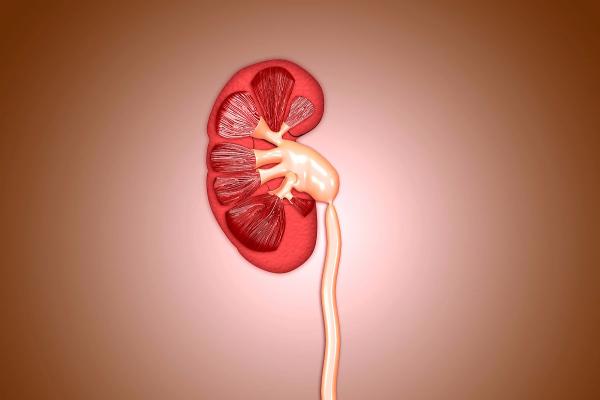 如果身體這兩處出現“臭味”,也許是尿毒症初期,建議調整作息 如果身體這兩處出現“臭味”,也許是尿毒症初期,建議調整作息