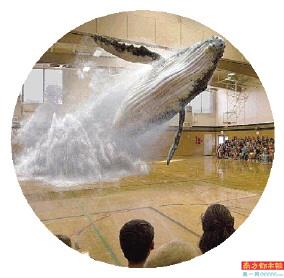 “女版喬布斯”獲罪 矽谷騙局未停歇