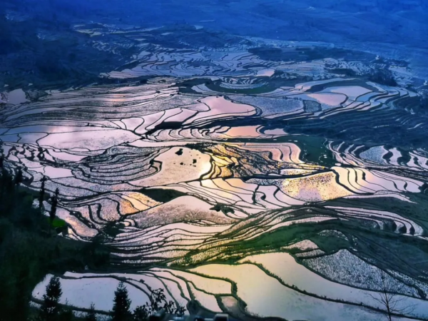 《12月限定丨國內旅行目的地指南》