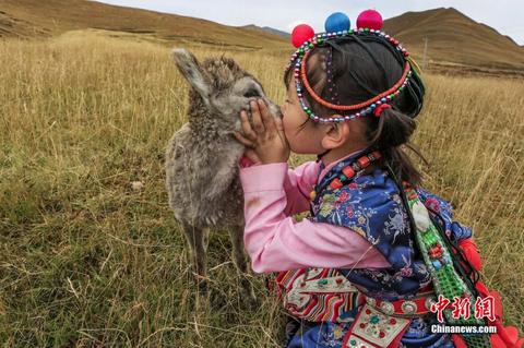 這輩子一定要去趟這個公園 在這裡“有種愛叫放手” 這輩子一定要去趟這個公園 在這裡“有種愛叫放手”