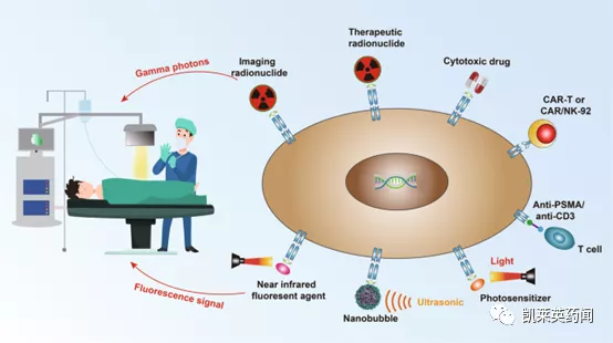 聚焦藥靶：從診斷到治療，PSMA的最新研究進展