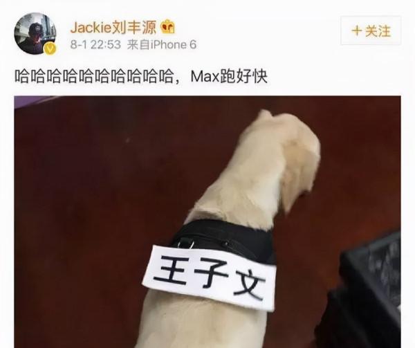 “京圈公主”王子文的瓜