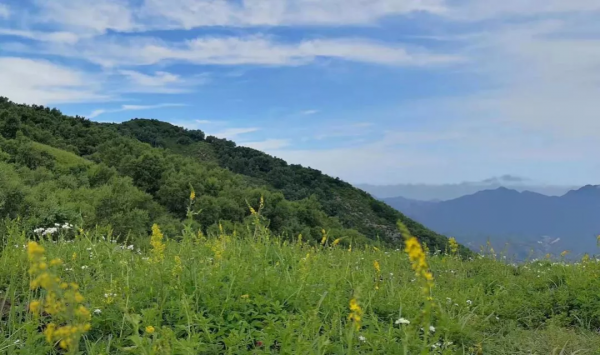 最大的幸運,也許不是看到的東西,而是善感的心靈 最大的幸運,也許不是看到的東西,而是善感的心靈