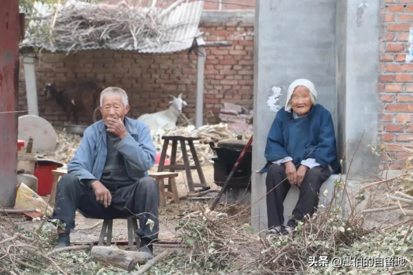 這才是真實的十月鄉村，純樸而美好，看後彷彿回了一次老家