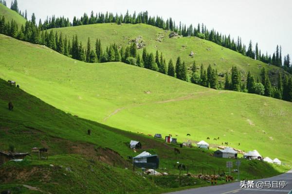新疆每年僅開放半年的公路，短暫而又驚豔，沿途500公里皆是美景