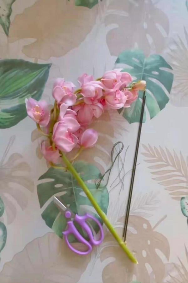 有一種不屈的堅韌。當之無愧的大家閨秀——大花蕙蘭 有一種不屈的堅韌。當之無愧的大家閨秀——大花蕙蘭