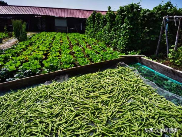 從東極到北極,走G331穿越沿途美景無數(東北邊境行之十二) 從東極到北極,走G331穿越沿途美景無數(東北邊境行之十二)