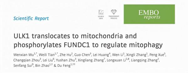 轉錄後特殊修飾結構識別抗體制備 轉錄後特殊修飾結構識別抗體制備