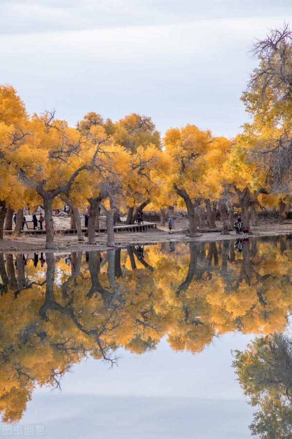 穿越千年,當秋日美景遇上古詩詞,許你一個詩意的山河 穿越千年,當秋日美景遇上古詩詞,許你一個詩意的山河