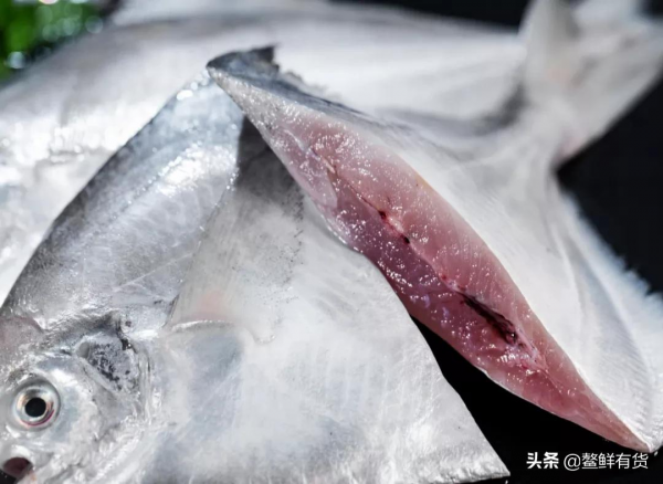 這款海魚，鮮甜肥美，舌尖上的海味