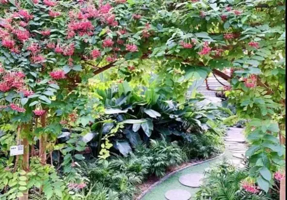 豐臺消費季丨丰韻年味節推出“豐雅送福”攻略，一同享受文娛漫時光~