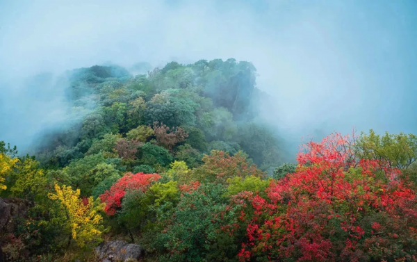 從龍潭大峽谷，找出旅行的意義