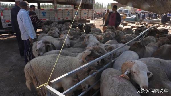 獨庫公路遊古城！新疆自駕攻略（下）