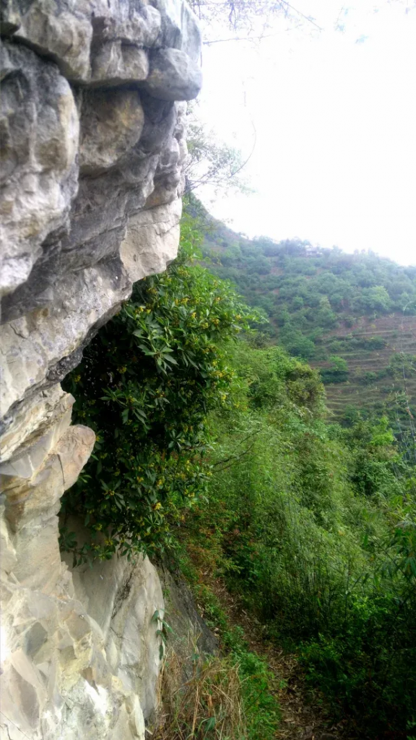 一日跨三省,步行在春天 一日跨三省,步行在春天
