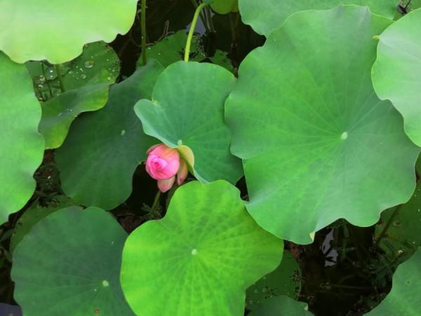 請一定善待自己的孩子 請一定善待自己的孩子