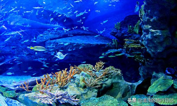 成都旅遊必去的11處打卡景點,人性化介紹 成都旅遊必去的11處打卡景點,人性化介紹