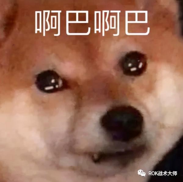 萬國覺醒丨尼布甲尼撒裝備推薦 萬國覺醒丨尼布甲尼撒裝備推薦