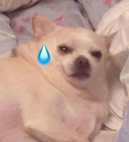 涼了7年的快播,登上排行榜第一 涼了7年的快播,登上排行榜第一