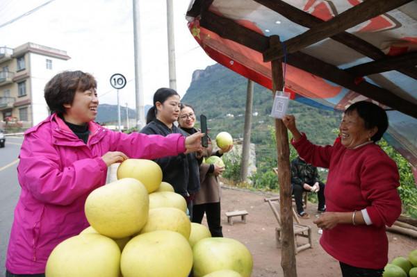 溪丘灣：產業路上白柚香