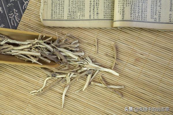 反覆發燒用柴胡，情志不暢用柴胡，柴胡到底有哪些功效，你可知否