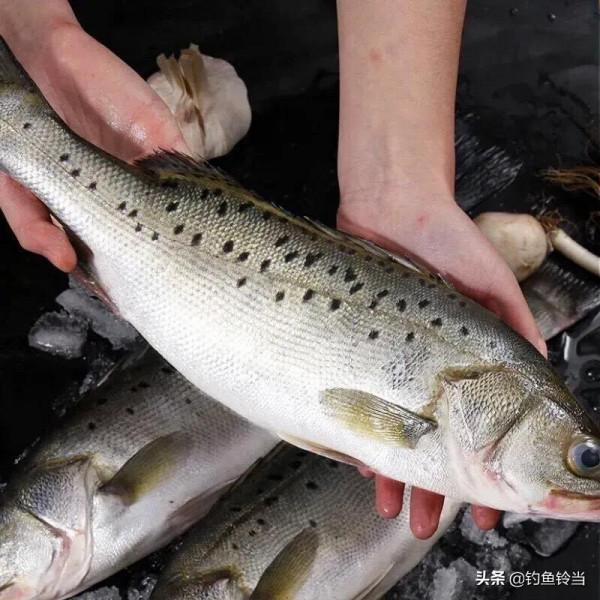 珠江四大名魚是那幾種魚？估計釣魚人都不知道，有一種列入二級了