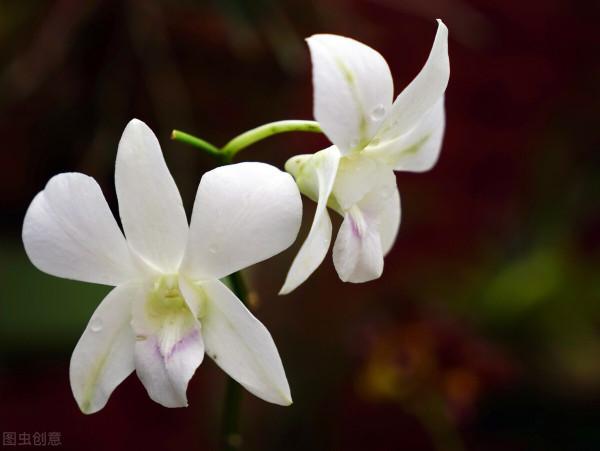 時代新視點 ‖ 大智若愚也是人生一種境界