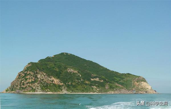 大連蛇島瘋狂“內卷”,一平方公里2萬多條蛇,島上的蛇越來越毒 大連蛇島瘋狂“內卷”,一平方公里2萬多條蛇,島上的蛇越來越毒