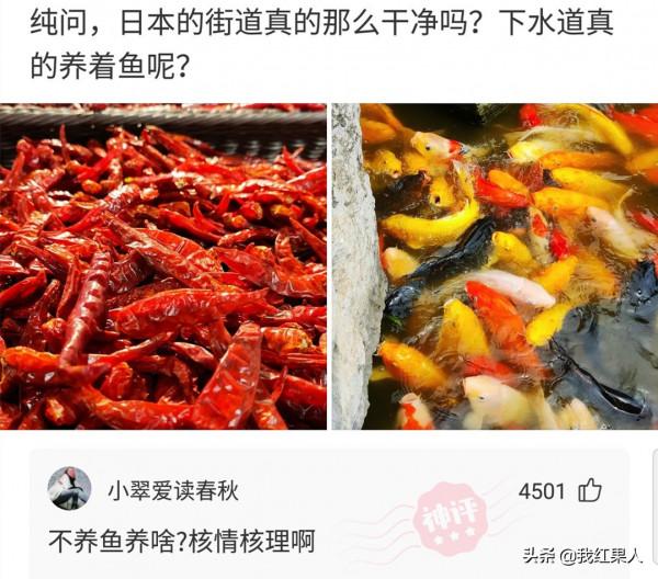“點一份炒海蚌,居然能吃出一顆珍珠!”哈哈哈我是不是發財了? “點一份炒海蚌,居然能吃出一顆珍珠!”哈哈哈我是不是發財了?