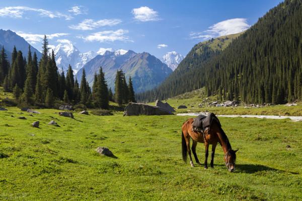 我國有20個鄰國，他們經濟怎樣？國民收入和消費怎樣？