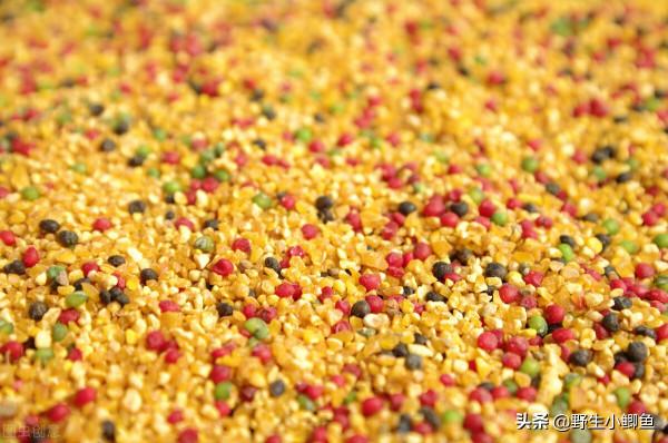 冬季野釣不發窩，我教你快速發窩