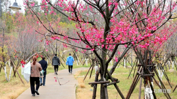鳥語花香醉遊人，石獅春光藏不住