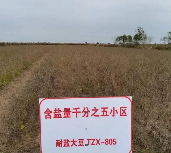 科技愛好者週刊（第 192 期）：最大的機會來自新技術