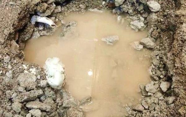 若再買房，衛生間一定要&OpenCurlyDoubleQuote;8不裝&rdquo;，不是唬人，而是過來人的經驗