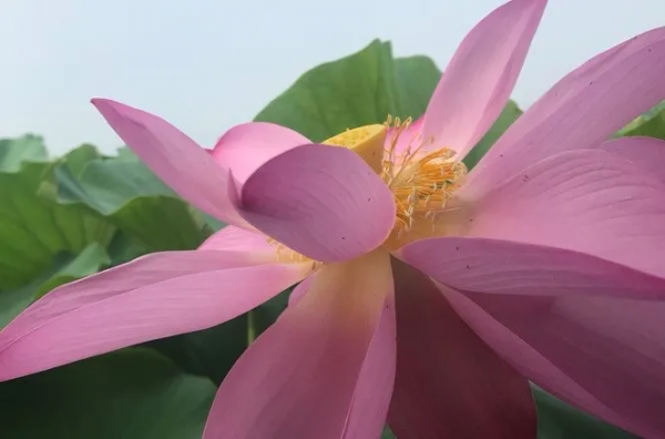 燈火、長街，讓你說不出的家鄉美