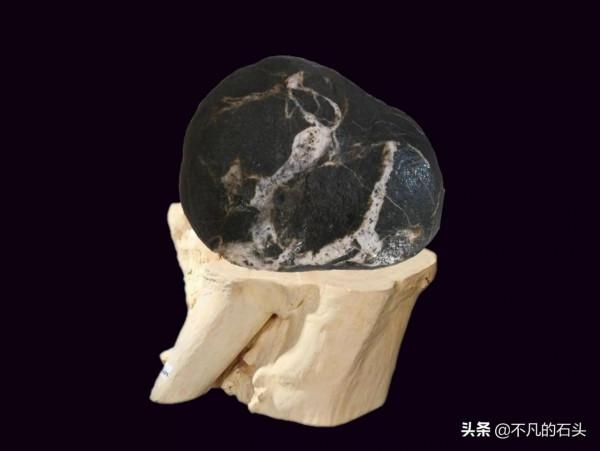 我的奇石全靠撿,有動物、植物、人物、文字等奇石,非常豐富 我的奇石全靠撿,有動物、植物、人物、文字等奇石,非常豐富