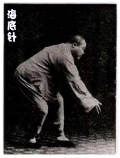 &num;習練太極&num;海底針、白鶴亮翅、退步跨虎腿部分量如何分配？